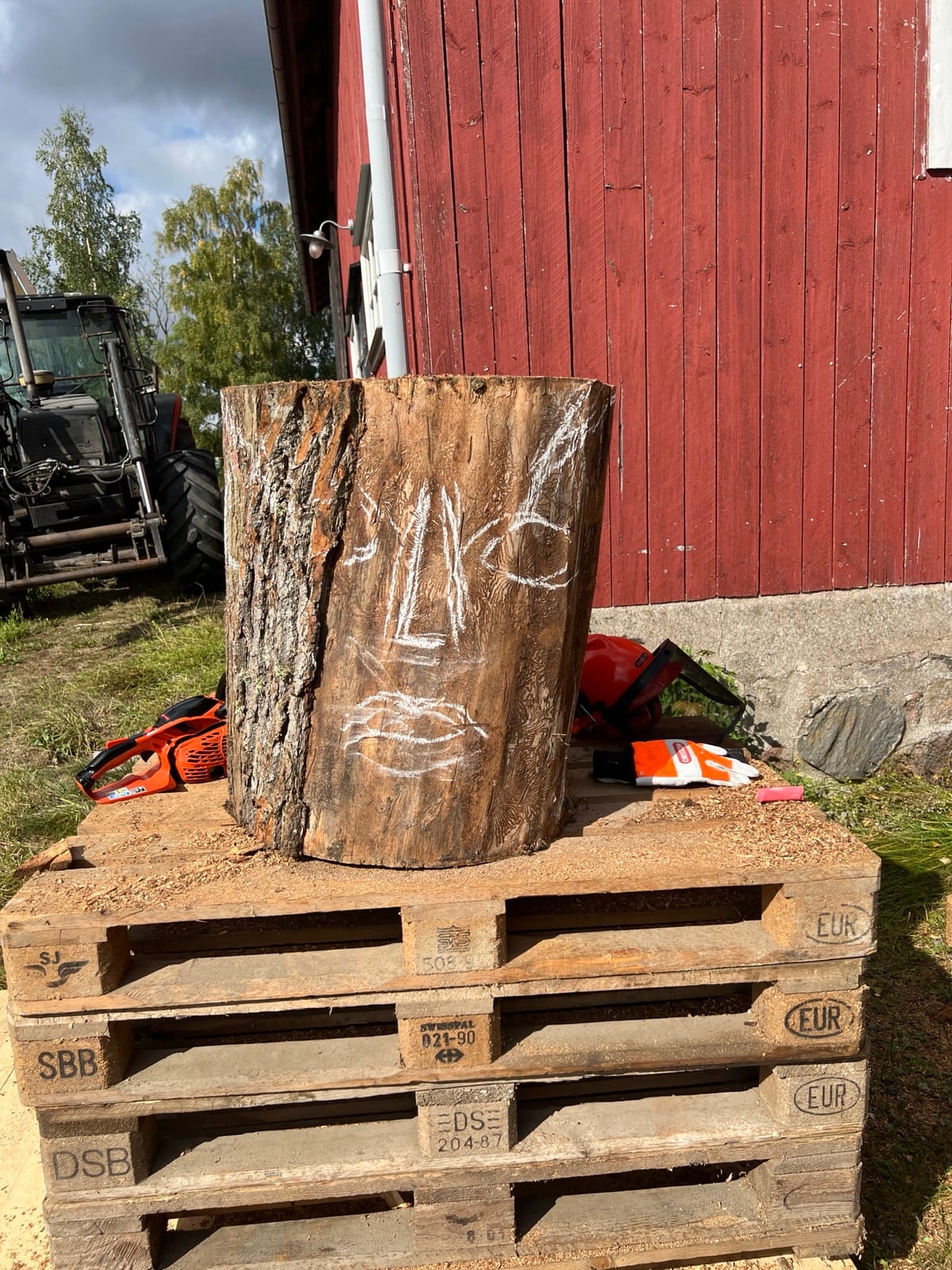 Motorsågen, skyddsutrustningen och en stock med kritade konturer – redo för första sågsnittet.